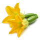 Ingrédient: Fleurs comestibles